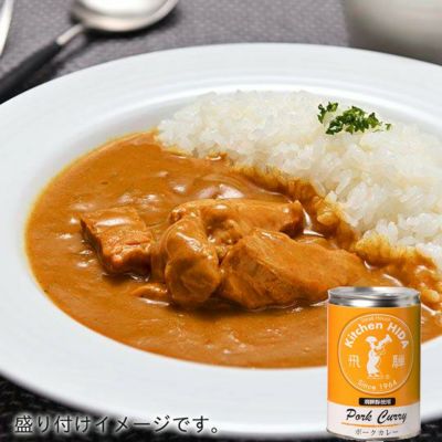 飛騨牛カレー レトルト 110個 セット