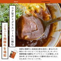 飛騨牛使用 ハヤシビーフ レトルトタイプパッケージ